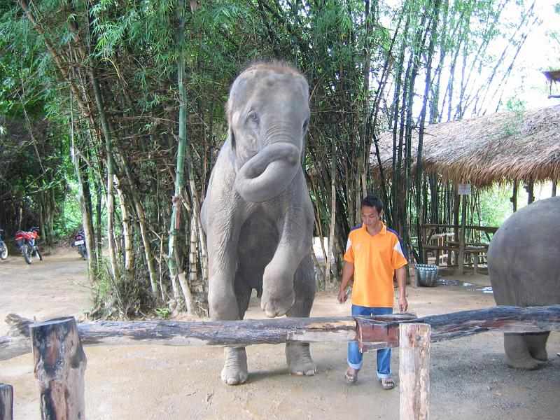 Thailand (220)
